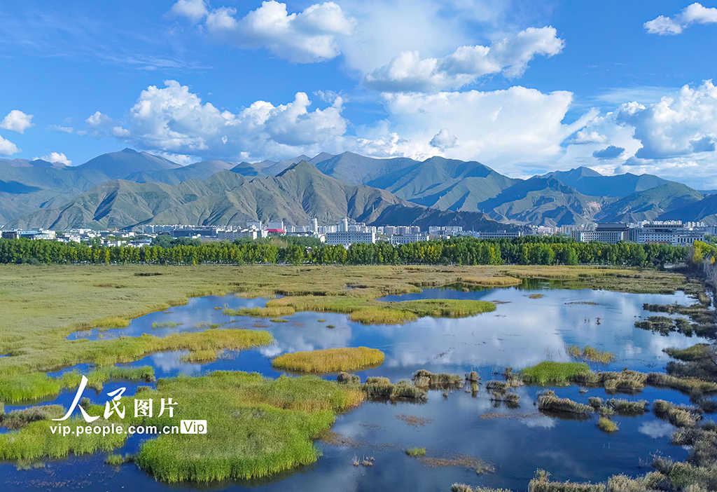 西藏拉萨：拉鲁湿地风光美